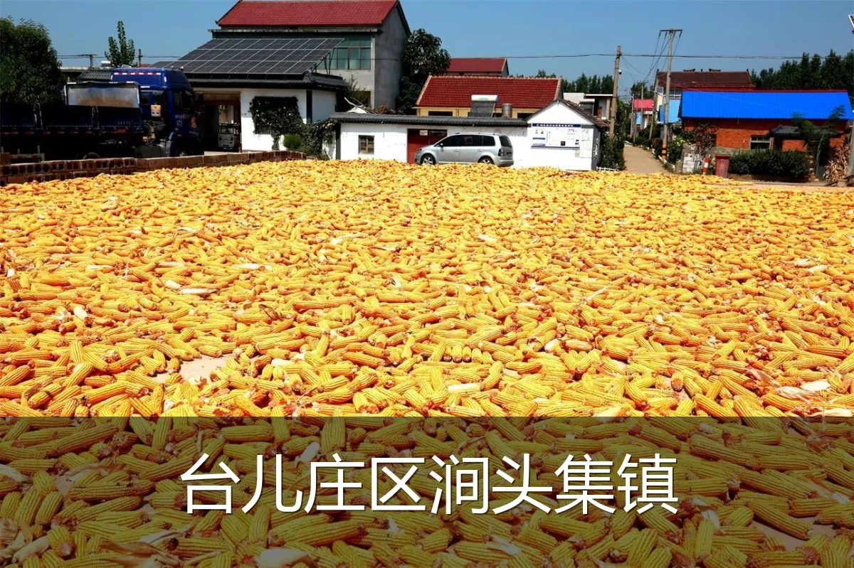台儿庄区涧头集镇